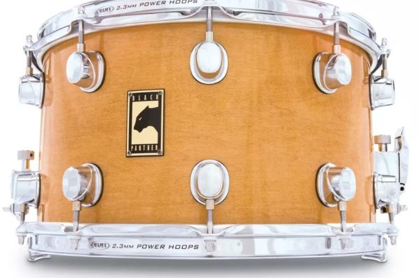 14 x 8 The Big Cat