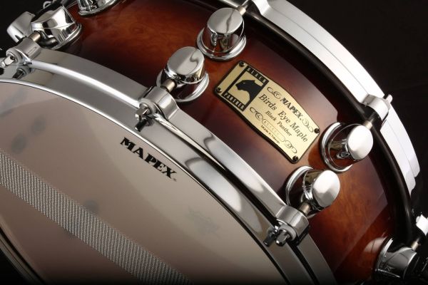 14 x 5.5 Bird's Eye Maple Tobacco Burst "Golden Week" Snare Japan Only